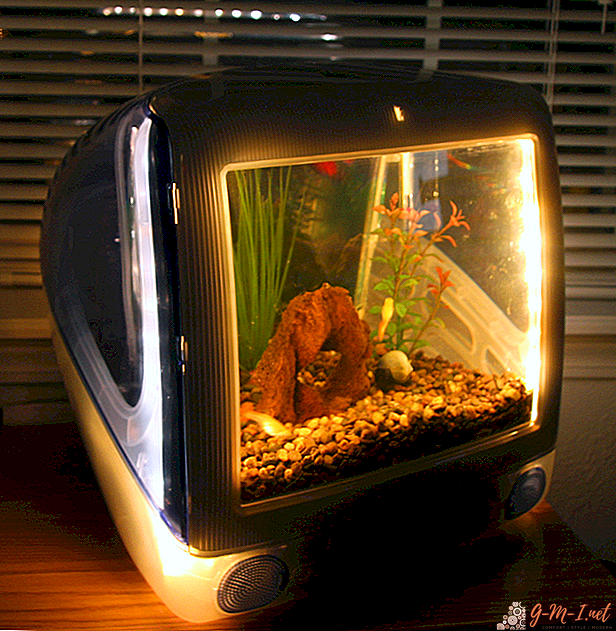Aquarium on TV and other unusual ideas for using the device