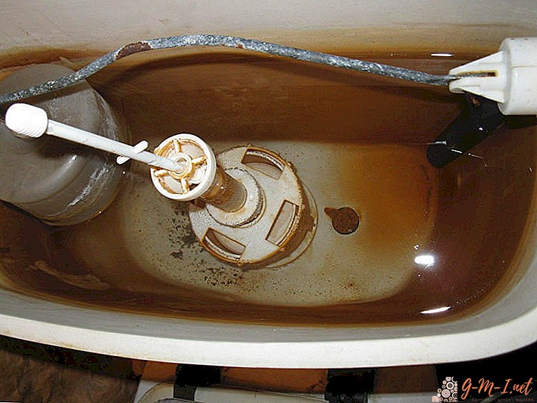 How to clean the toilet bowl from rust inside