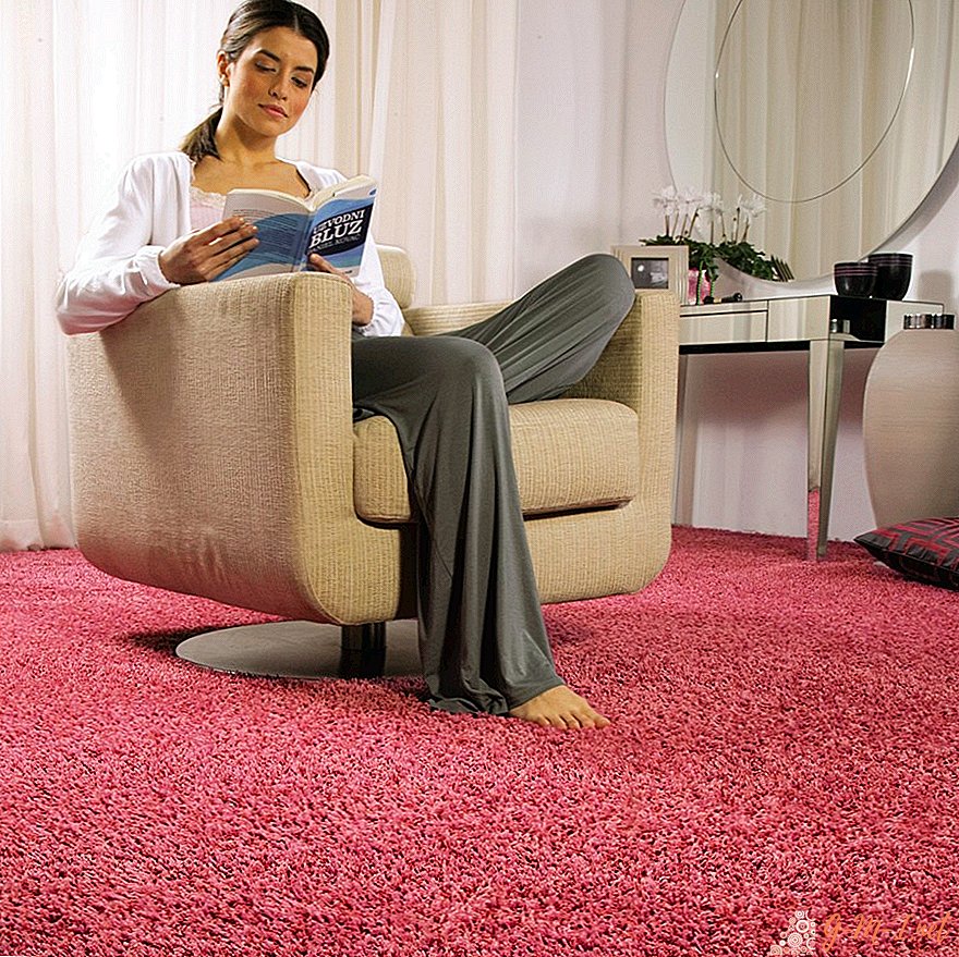 ¿Cuál es la diferencia entre una alfombra y una alfombra?