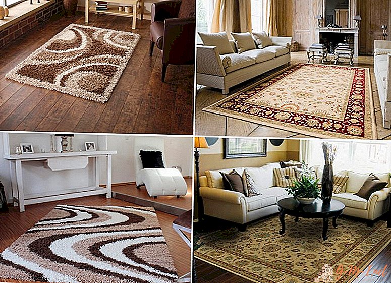 Wat is het verschil tussen een tapijt en een paleis?