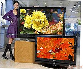 Qual é a diferença entre plasma e TV LCD?