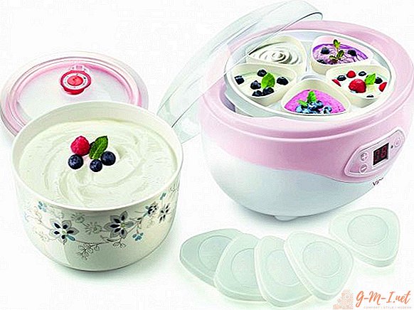 Qué cocinar en una máquina de yogurt que no sea yogurt