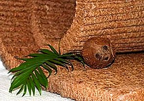 ¿Qué es una fibra de coco en un colchón?