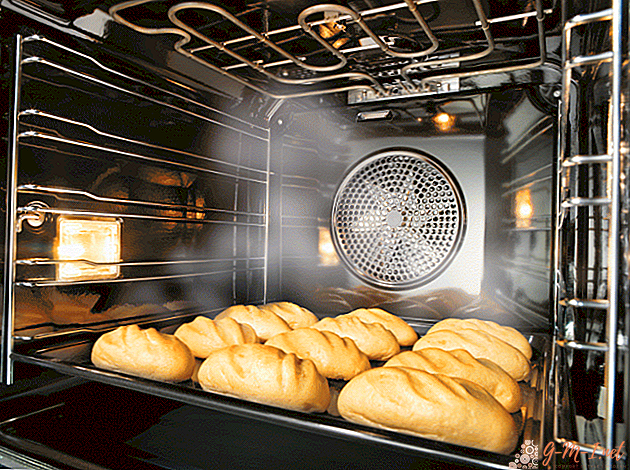 Was ist Konvektion in einem Gasherd Ofen