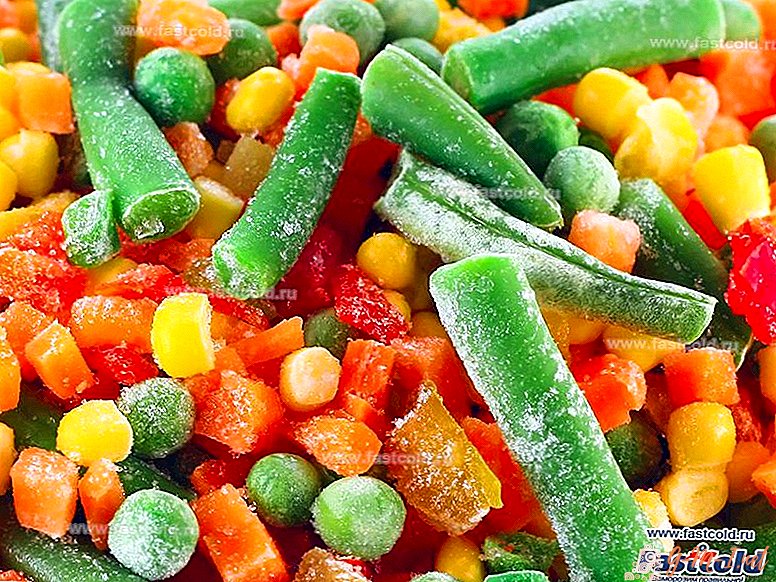 What to freeze in the freezer for the winter
