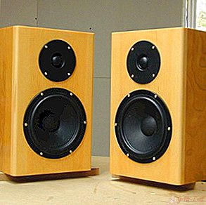 DIY speaker filter