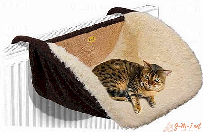 DIY hammock for a cat