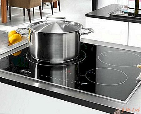 Induction hob - pros and cons