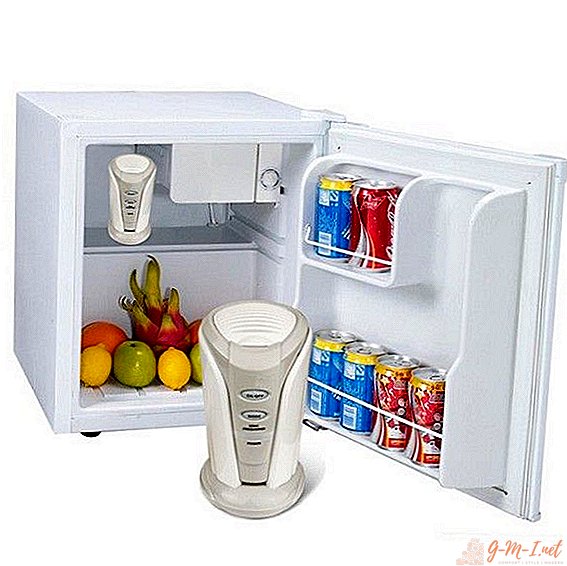 Ionizer for the refrigerator