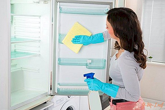 Wie und wie man den Kühlschrank wäscht