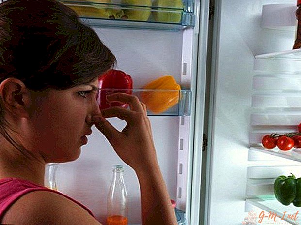 How to get rid of mold in the refrigerator