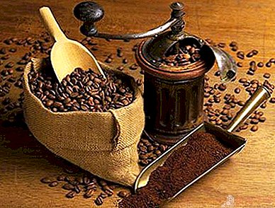 كيفية طحن القهوة في طاحونة القهوة