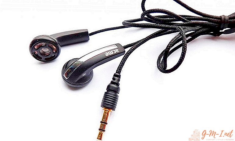 What is the name of the headphone plug