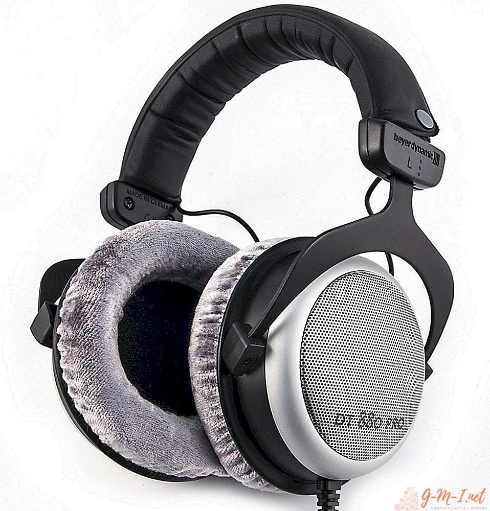 What are the big headphones called