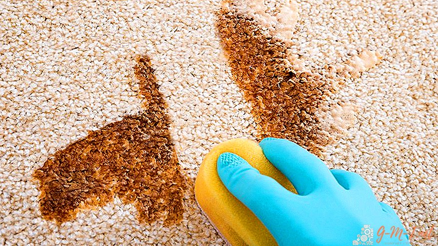 How to clean a carpet at home from stains