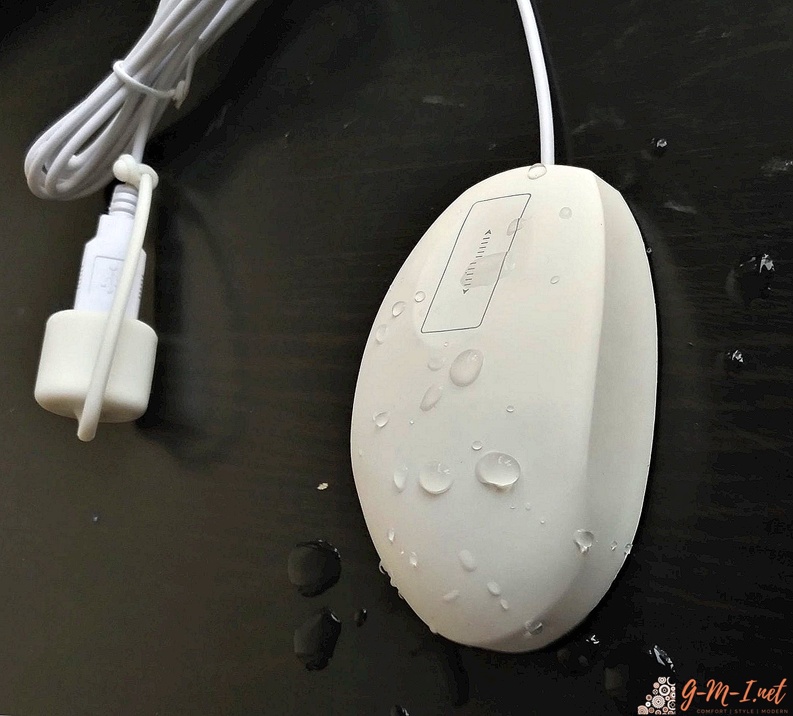 How to clean a mouse