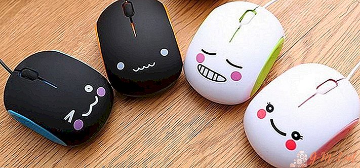 What is the name of a computer mouse