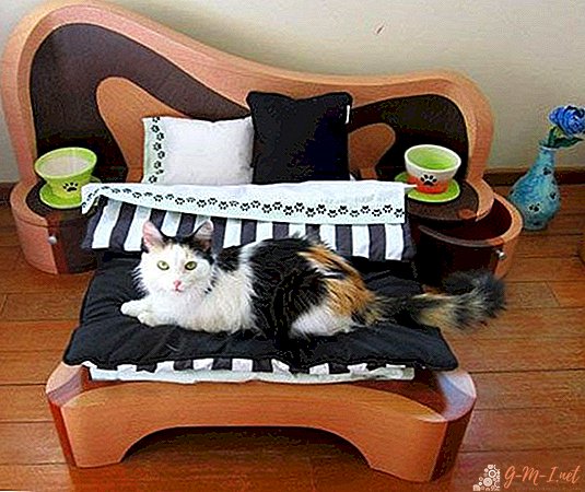 How to make a bed for a cat with your own hands