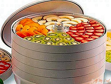 How to dry fruits in a dryer