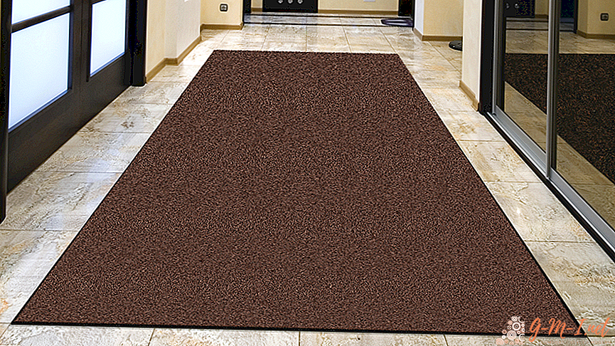 How to choose a carpet in the hallway