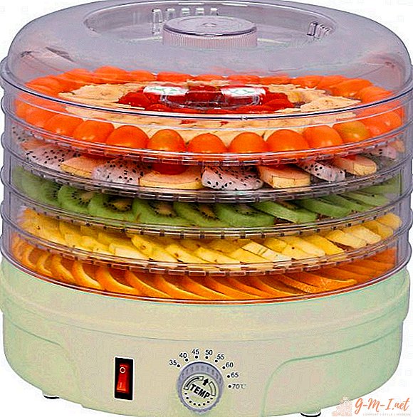 Cómo elegir una secadora para frutas y verduras
