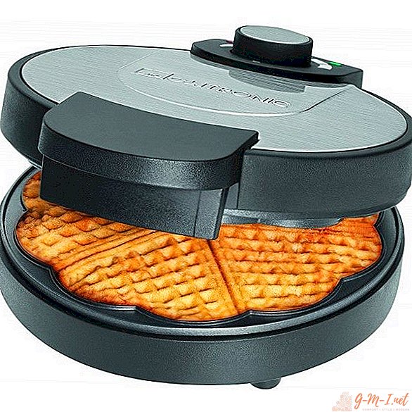 How to choose a waffle iron
