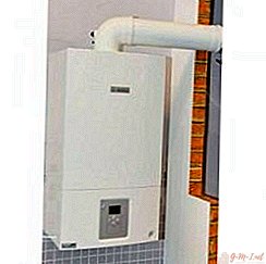 Which wall-mounted gas dual-circuit boiler is better