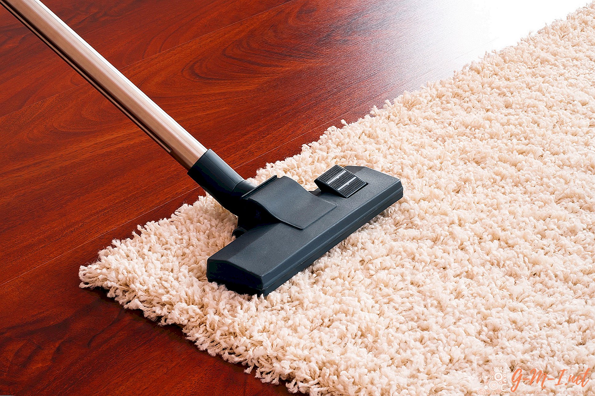 Which vacuum cleaner is better for carpet