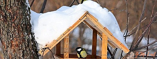Alimentador de pássaros DIY laminado