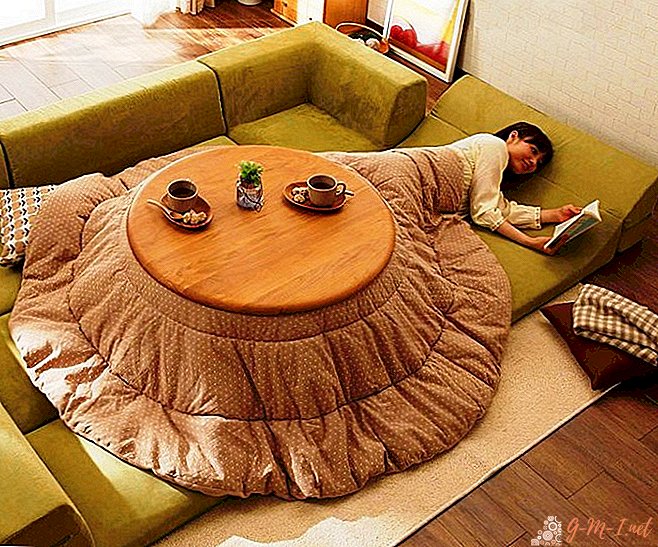 Kotatsu - a hybrid of table, blankets and heater