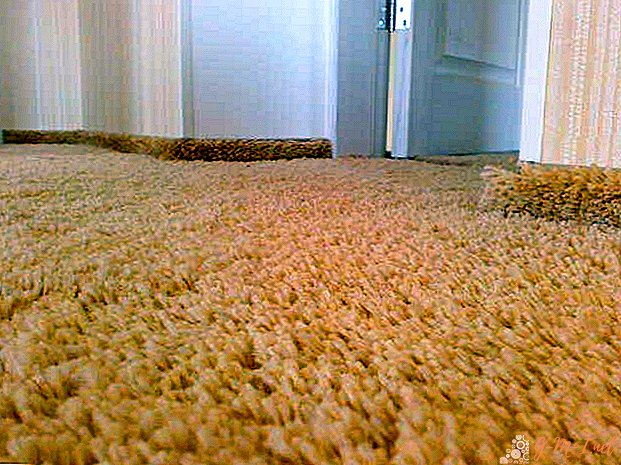 Is it possible to put a carpet on a warm floor