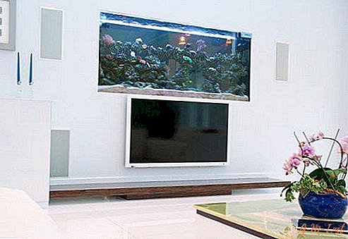 Posso colocar um aquário ao lado da TV?