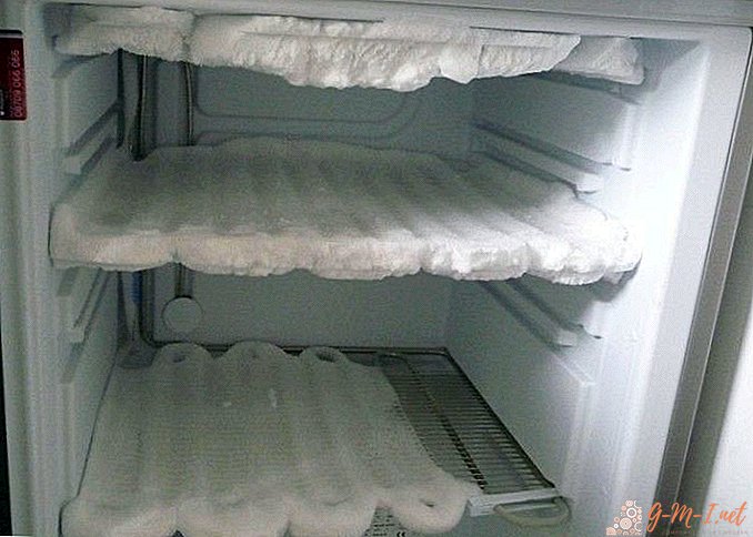 No Frost Kühlschrank auftauen (Nou Frost)