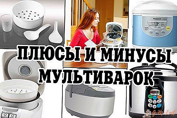 Pros and Cons of a Multicooker