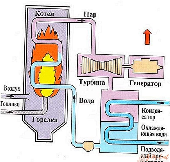 Principio de funcionamiento de la caldera de vapor.