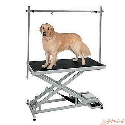 Do-it-yourself dog grooming table