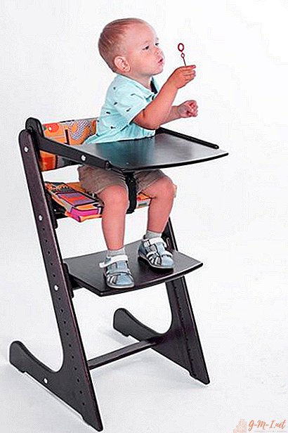DIY "Küçük Kamburlu At" sandalyesi: çizimler