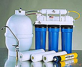 Filter device for water purification