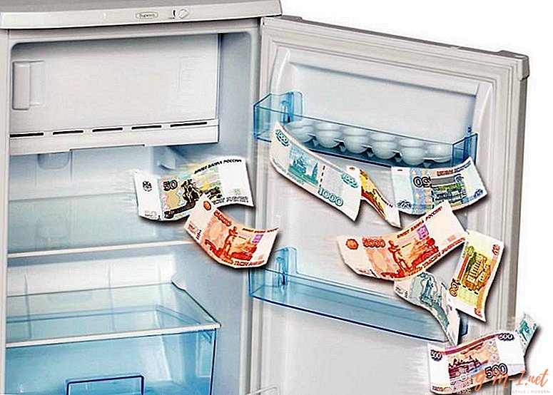 Hvorfor legge en liten ting i kjøleskapet